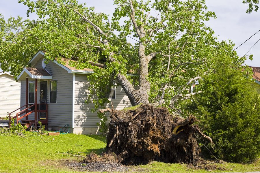 découvrez nos conseils pour réduire votre assurance habitation sans compromettre votre protection. profitez d'astuces simples et efficaces pour alléger vos primes tout en préservant votre sécurité et celle de votre foyer.
