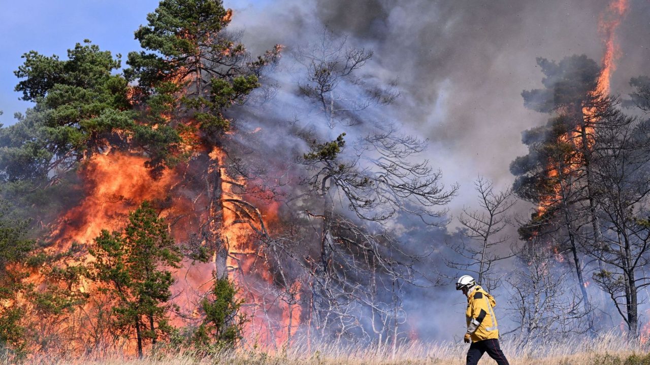 découvrez les causes, les impacts et les mesures de prévention face aux incendies de forêt, un phénomène de plus en plus préoccupant pour notre environnement et notre sécurité.