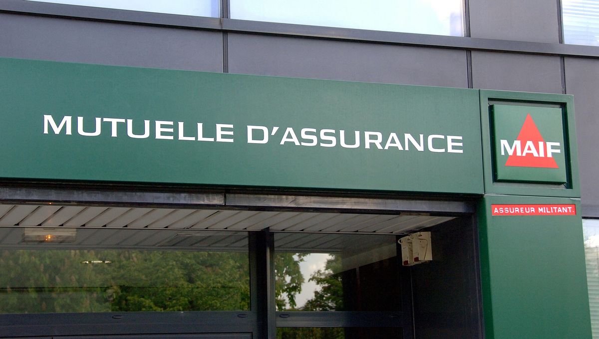 découvrez les raisons et les impacts de la hausse des cotisations maif pour 2024. informations sur les nouveaux tarifs, explications sur l’évolution des prix, conseils pour mieux comprendre votre assurance.