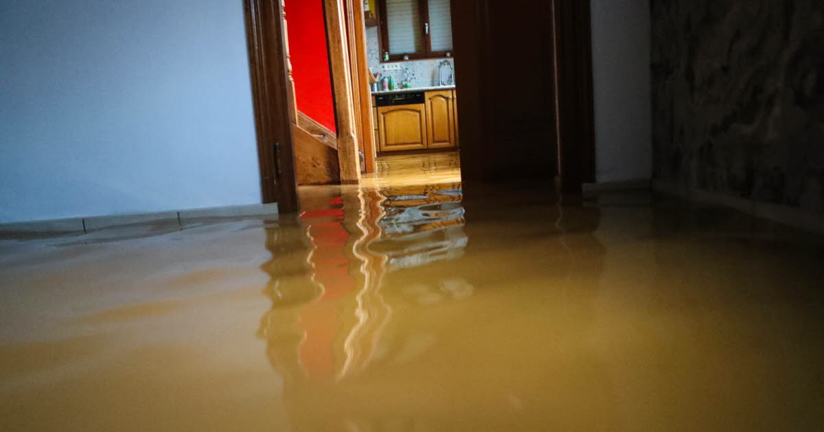 découvrez pourquoi les assurances habitation augmentent dans le sud-ouest après les récentes tempêtes et inondations, et comment cela impacte les habitants.