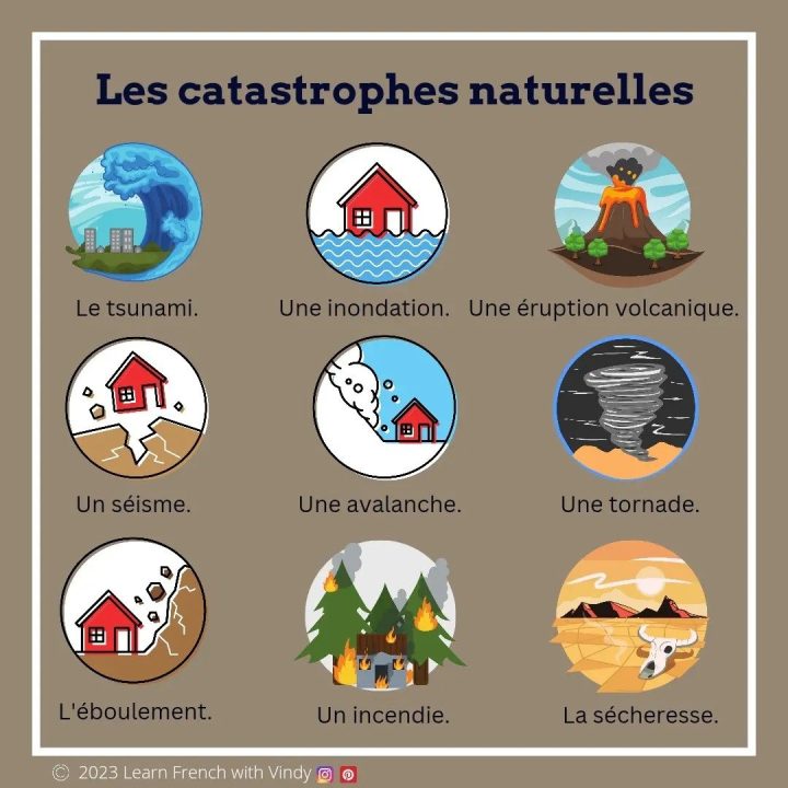 découvrez comment assurant enregistre une hausse de ses profits grâce au secteur de l'habitat et à la diminution des catastrophes naturelles.