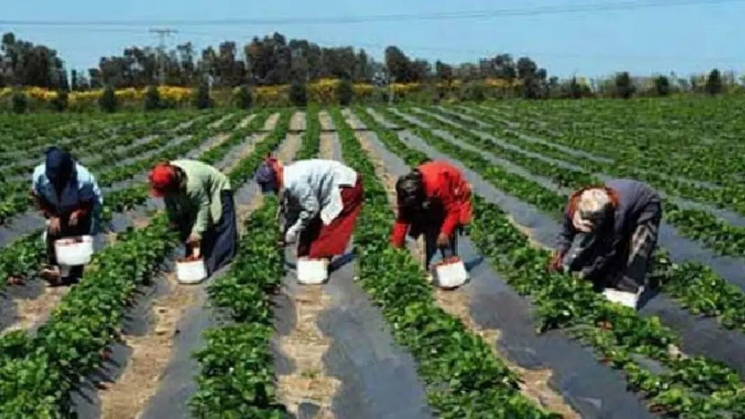 découvrez les assurances essentielles spécialement adaptées aux femmes seules et cheffes de famille pour protéger leur avenir et celui de leurs proches.