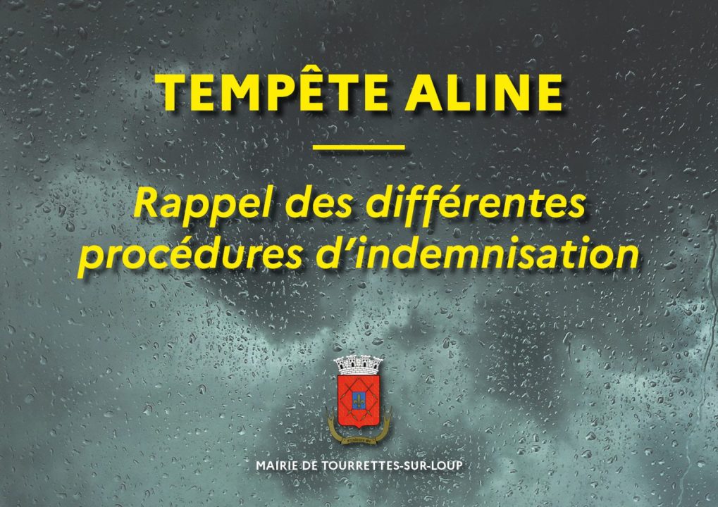 découvrez tout ce qu'il faut savoir sur la tempête nils : indemnisation des dommages, impact sur les cotisations et conseils sur les assurances adaptées.