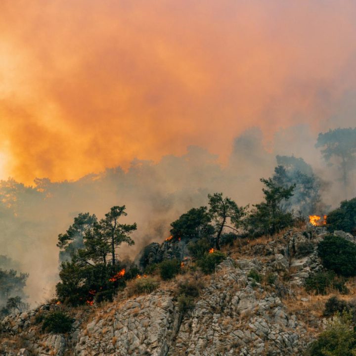 analyse de l'impact des événements climatiques extrêmes sur la démocratie et ses institutions.